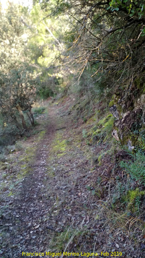 Camino del Chorren - Camino del Chorren. 