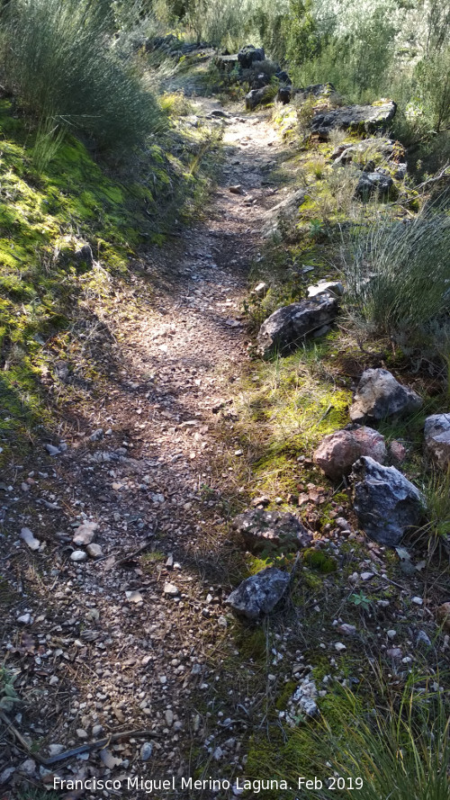 Camino del Chorren - Camino del Chorren. 