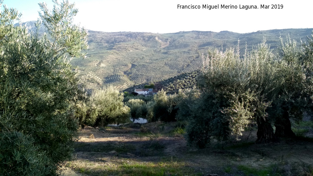 Cortijo de Haza Vera - Cortijo de Haza Vera. Paraje