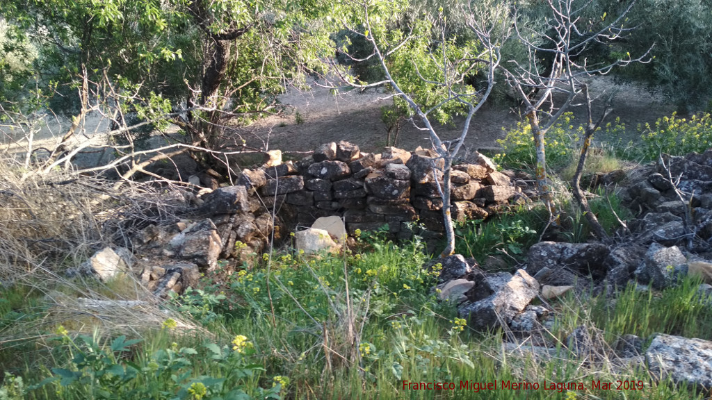 Cortijo de Crdoba - Cortijo de Crdoba. Muro