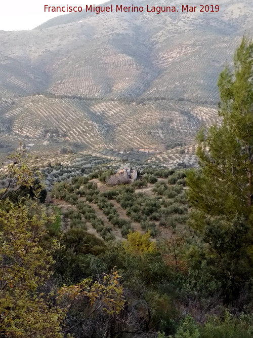 Cortijo Viejo del Charquillo - Cortijo Viejo del Charquillo. 