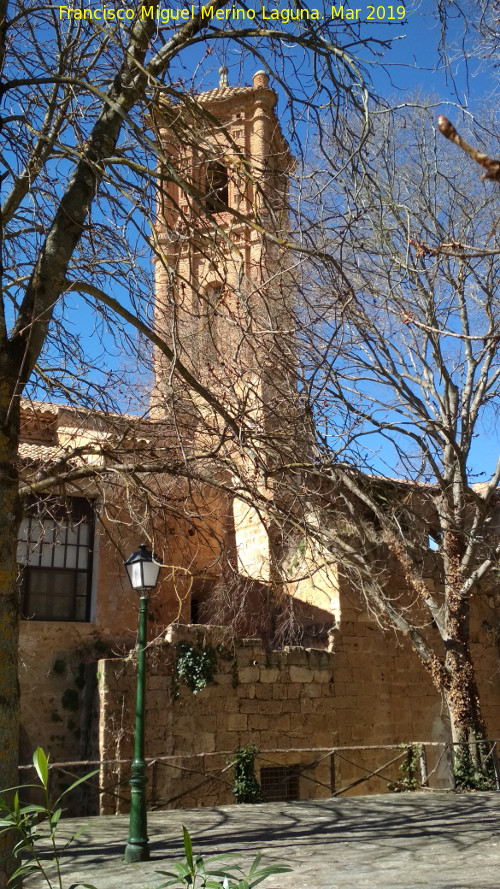 Monasterio de Piedra. Iglesia - Monasterio de Piedra. Iglesia. Campanario
