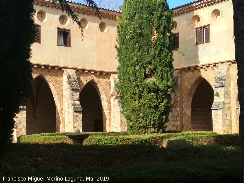 Monasterio de Piedra. Claustro - Monasterio de Piedra. Claustro. 