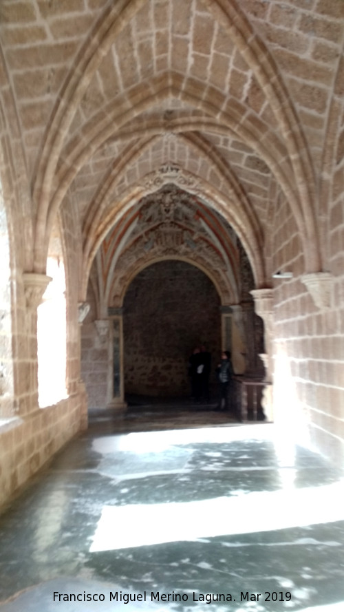 Monasterio de Piedra. Claustro - Monasterio de Piedra. Claustro. 