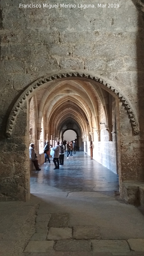 Monasterio de Piedra. Claustro - Monasterio de Piedra. Claustro. 