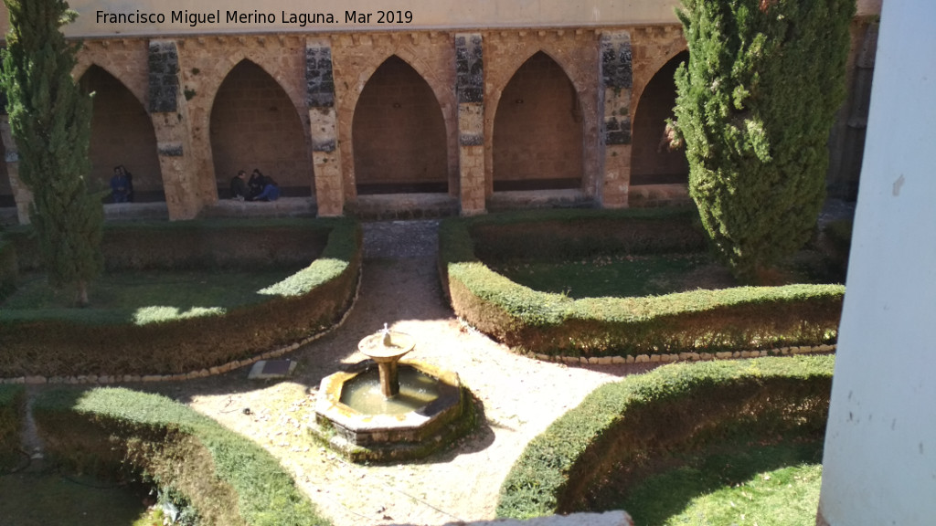 Monasterio de Piedra. Claustro - Monasterio de Piedra. Claustro. 