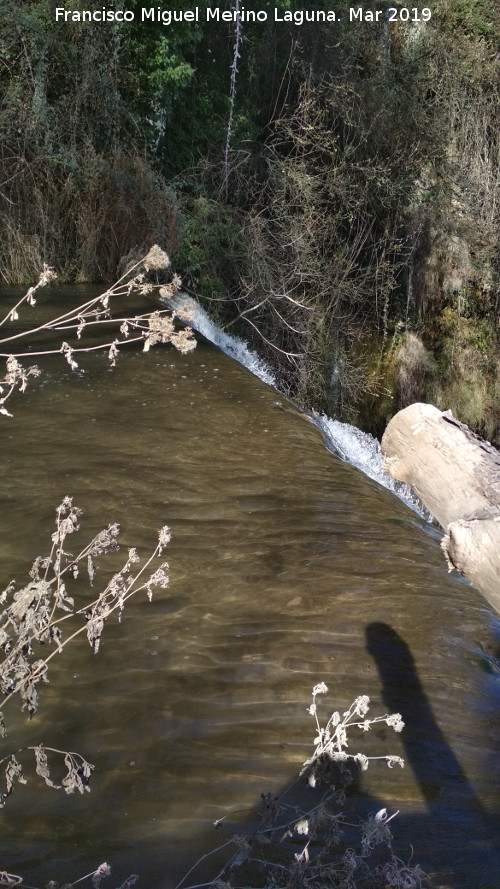 Parque Natural del Monasterio de Piedra. Mirador de la Caprichosa - Parque Natural del Monasterio de Piedra. Mirador de la Caprichosa. Parte alta de la cascada