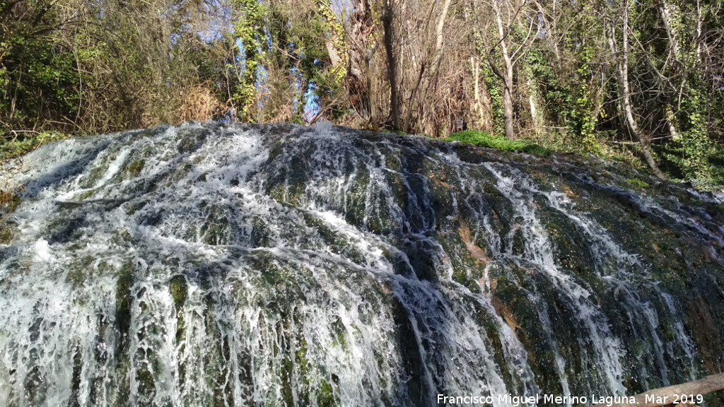 Parque Natural del Monasterio de Piedra. Los Arglides - Parque Natural del Monasterio de Piedra. Los Arglides. 