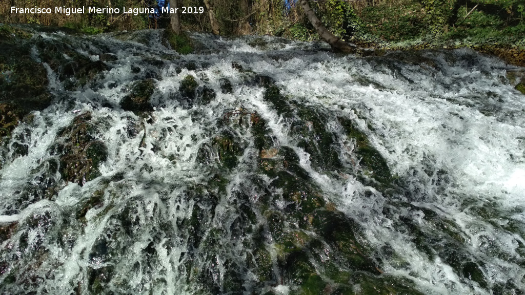 Parque Natural del Monasterio de Piedra. Los Arglides - Parque Natural del Monasterio de Piedra. Los Arglides. 