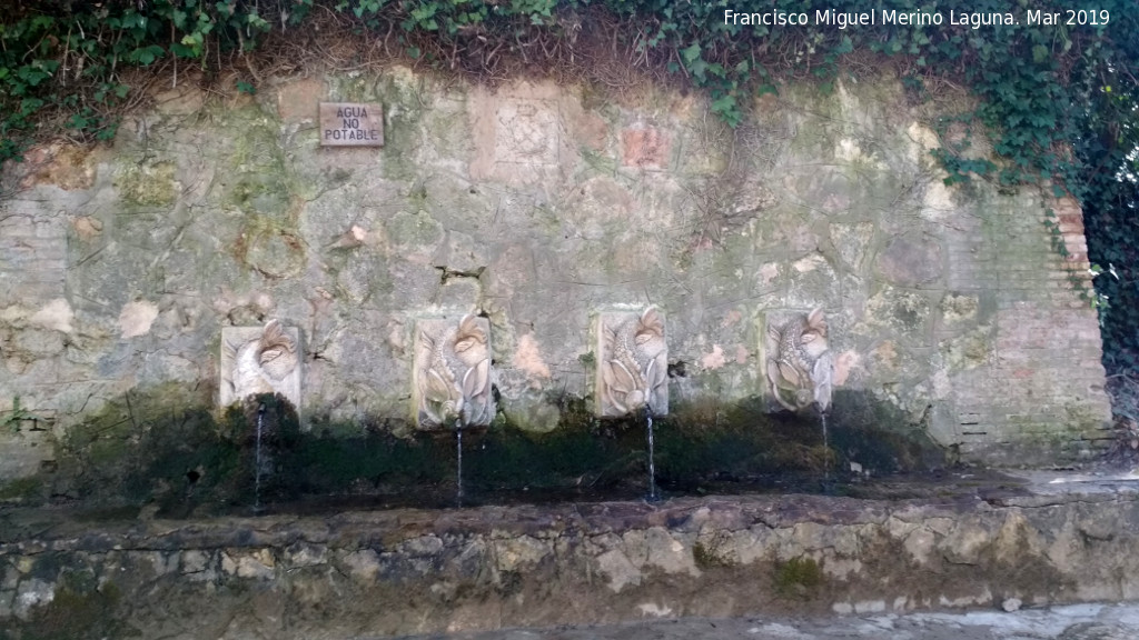 Parque Natural del Monasterio de Piedra. Fuente de los Salmones - Parque Natural del Monasterio de Piedra. Fuente de los Salmones. 