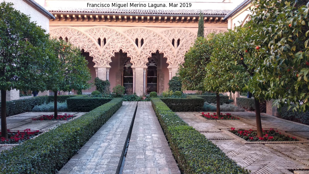 Aljafera. Patio de Santa Isabel - Aljafera. Patio de Santa Isabel. 