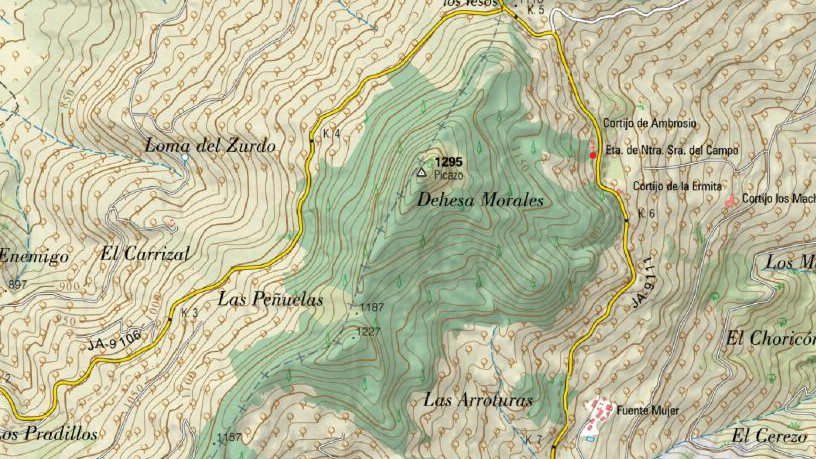 Picazo - Picazo. Mapa