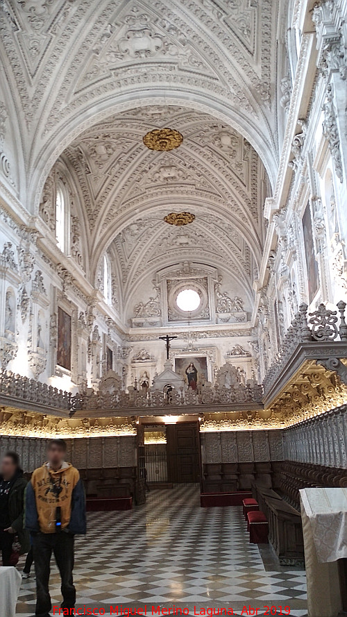 Monasterio de la Cartuja. Iglesia - Monasterio de la Cartuja. Iglesia. Nave