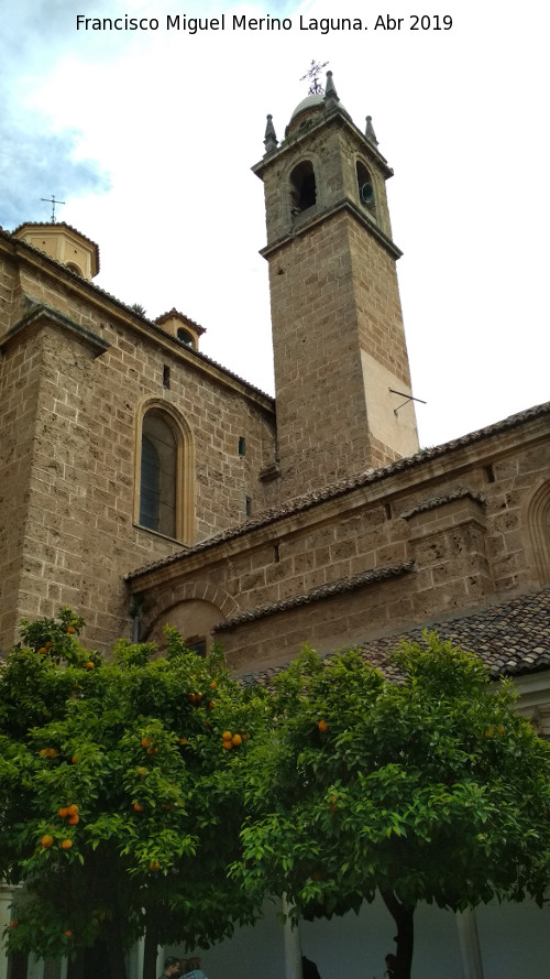 Monasterio de la Cartuja. Iglesia - Monasterio de la Cartuja. Iglesia. Campanario