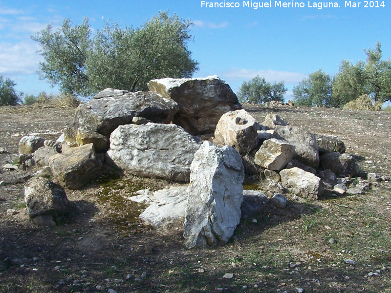 Oppidum Bora Cerealis - Oppidum Bora Cerealis. Bloques de piedra