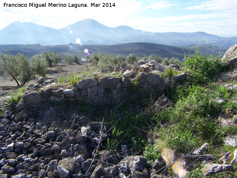 Oppidum Bora Cerealis - Oppidum Bora Cerealis. Muros de edificacin