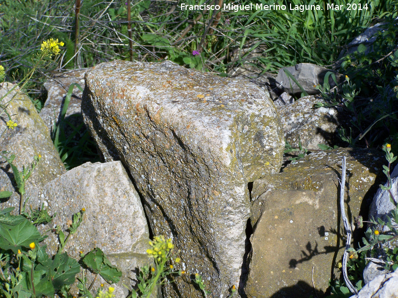 Oppidum Bora Cerealis - Oppidum Bora Cerealis. Sillar