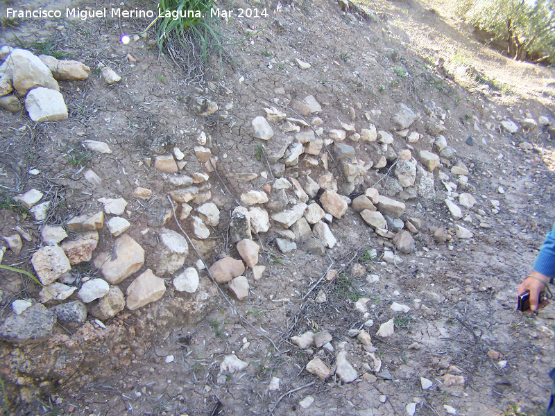 Oppidum Bora Cerealis - Oppidum Bora Cerealis. 