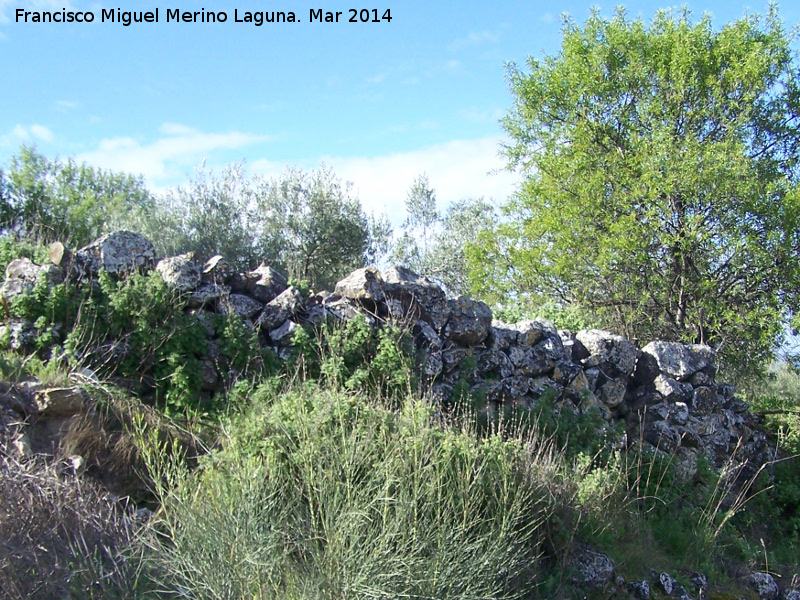 Oppidum Bora Cerealis - Oppidum Bora Cerealis. Murallas