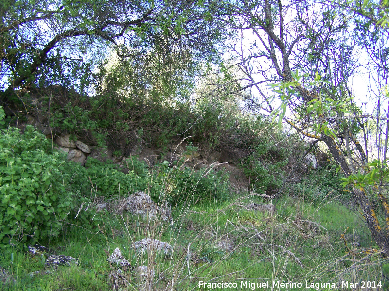 Oppidum Bora Cerealis - Oppidum Bora Cerealis. Muralla con grandes bloques derrumbados