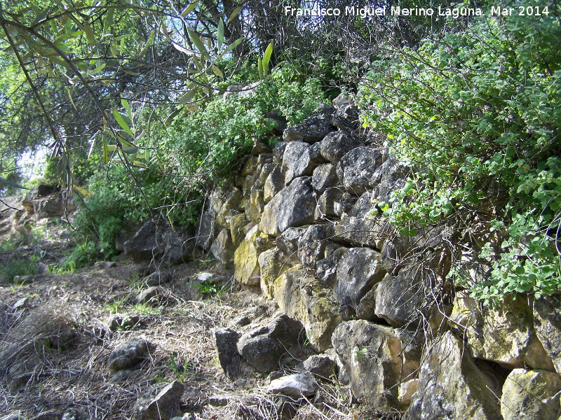 Oppidum Bora Cerealis - Oppidum Bora Cerealis. Murallas