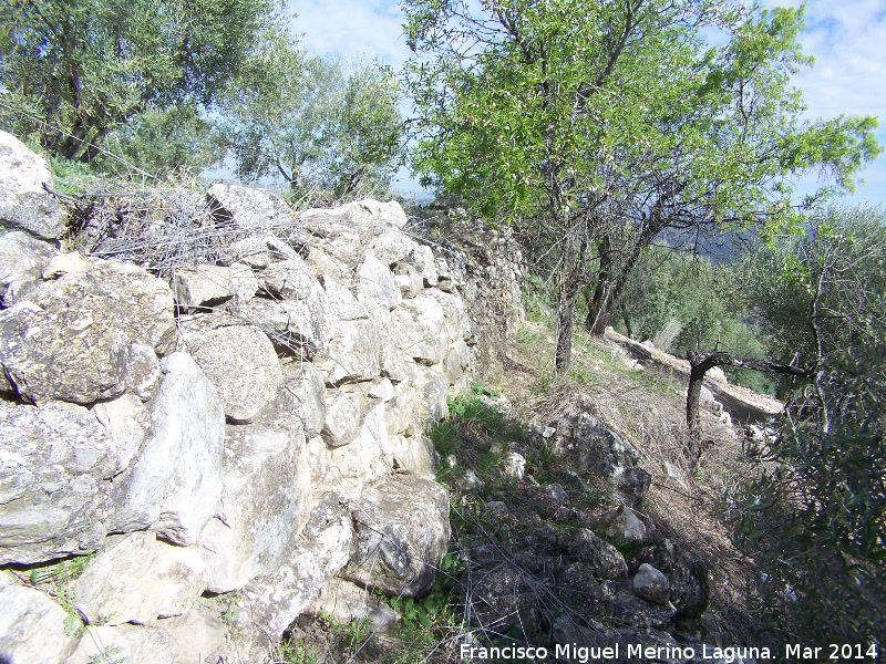 Oppidum Bora Cerealis - Oppidum Bora Cerealis. Murallas