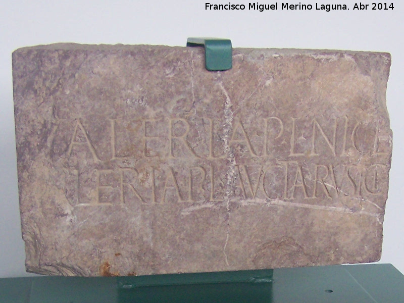 Ciudad iberorromana de Isturgi - Ciudad iberorromana de Isturgi. Inscripcin romana segunda mitad del siglo I d.C. Museo Arqueolgico Profesor Sotomayor - Andjar