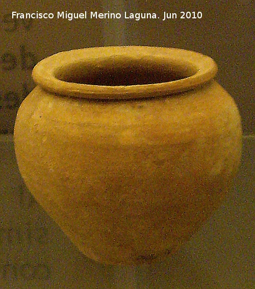 Ciudad iberorromana de Isturgi - Ciudad iberorromana de Isturgi. Orza. Museo Arqueolgico Provincial