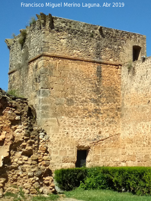 Castillo de los Guzmanes. Torre Suroeste - Castillo de los Guzmanes. Torre Suroeste. 