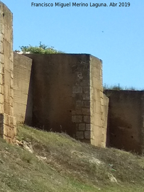 Muralla de Niebla. Torre Sur XII - Muralla de Niebla. Torre Sur XII. 