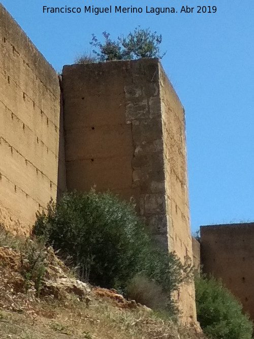Muralla de Niebla. Torre Sur VIII - Muralla de Niebla. Torre Sur VIII. 