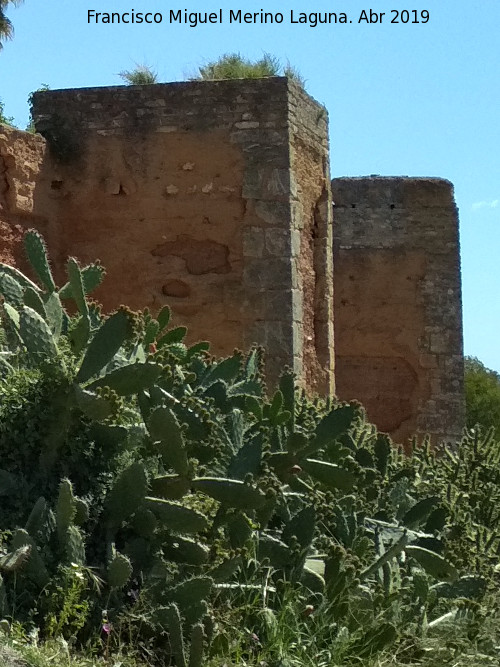 Muralla de Niebla. Torre Sur IV - Muralla de Niebla. Torre Sur IV. 