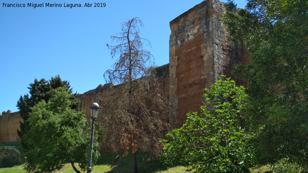 Muralla de Niebla. Torre Norte III - Muralla de Niebla. Torre Norte III. 