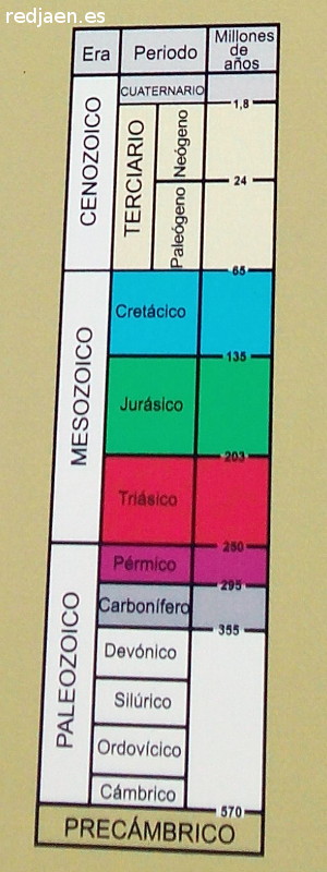 Fsiles - Fsiles. Eras geolgicas