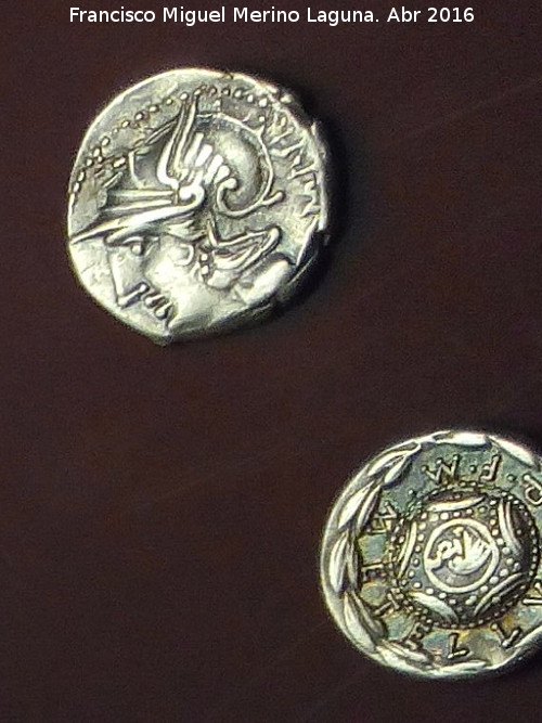 Tesoro de Chiclana - Tesoro de Chiclana. Denarios romanos. Museo Provincial de Jan