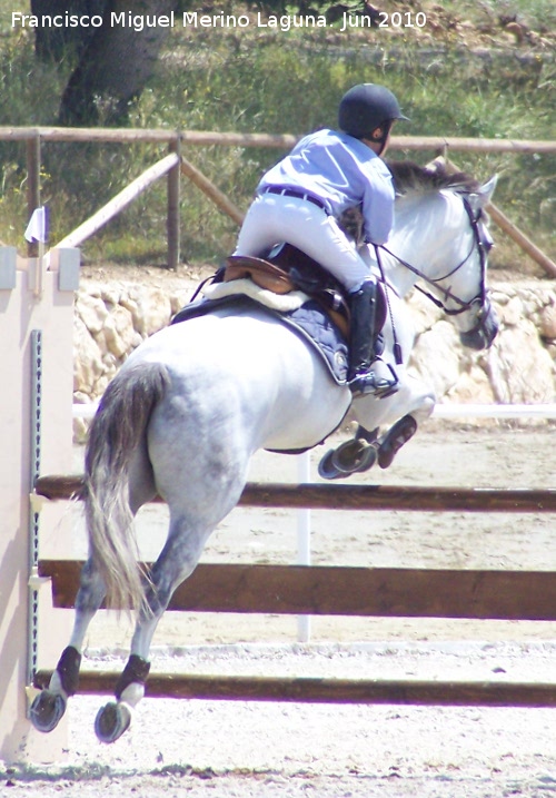 Concurso Hpico Nacional de Saltos - Concurso Hpico Nacional de Saltos. 