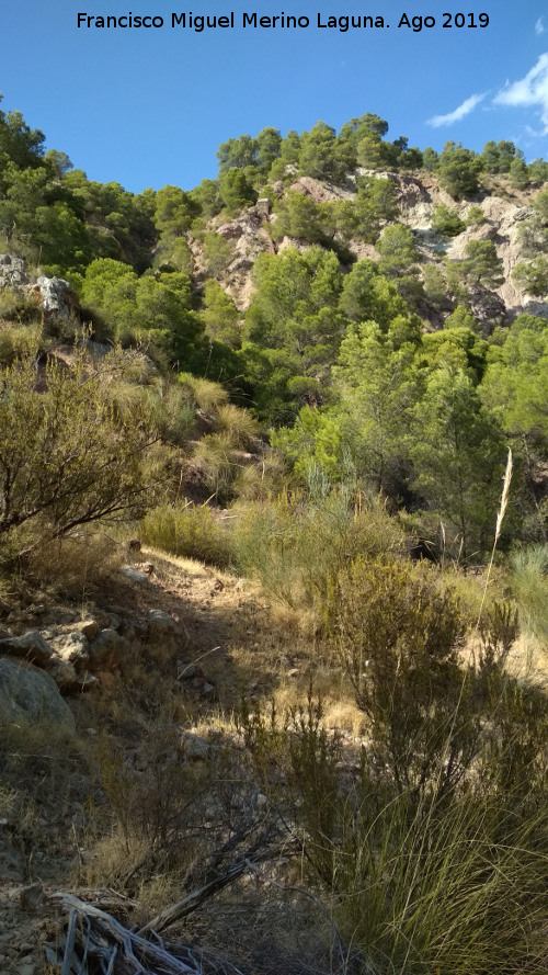 Fbrica de Luz del Barranco de la Canal - Fbrica de Luz del Barranco de la Canal. Camino que une la central con la Casa de los Anarquistas