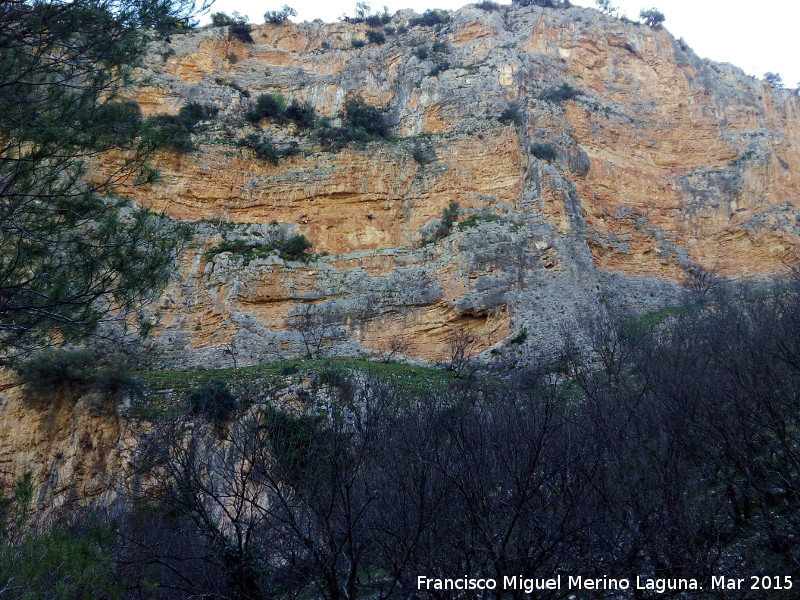 Can de la Tinaja - Can de la Tinaja. Paredes