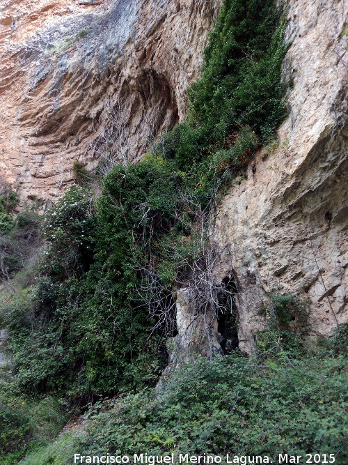 Can de la Tinaja - Can de la Tinaja. Covacho