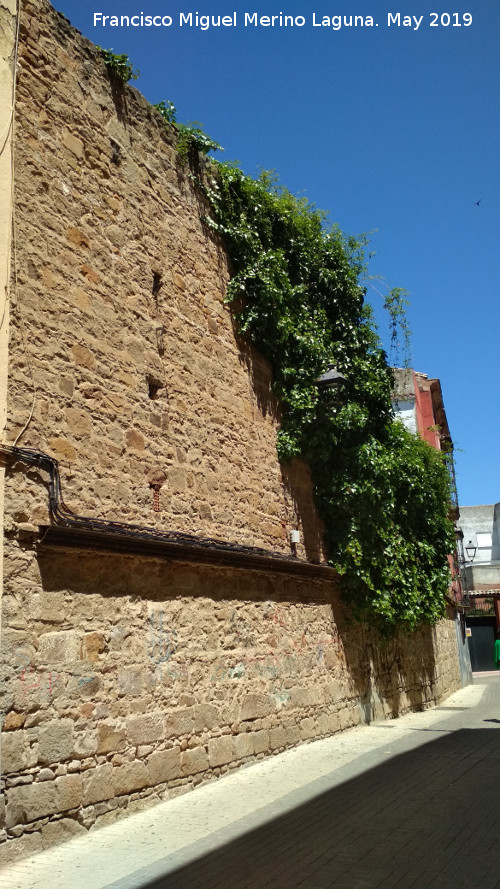 Muro de la Calle Huertas de San Juan - Muro de la Calle Huertas de San Juan. 