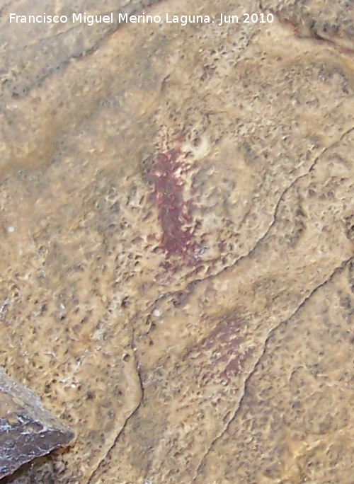 Pinturas rupestres de la Cueva de los Soles de la Pared Exterior - Pinturas rupestres de la Cueva de los Soles de la Pared Exterior. Barra