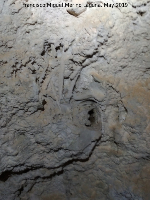Cueva de la Encantada - Cueva de la Encantada. Formaciones