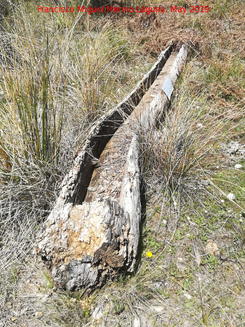 Tornajos de la Laguna - Tornajos de la Laguna. 