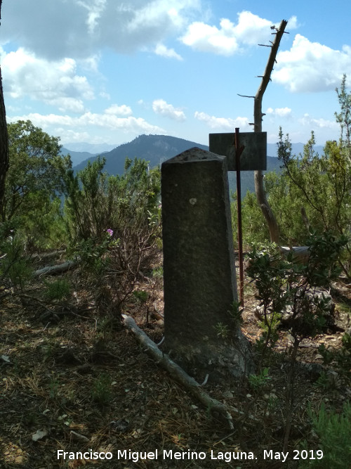 Cerro de la Laguna - Cerro de la Laguna. Mojn