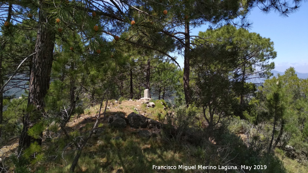 Cerro de la Laguna - Cerro de la Laguna. Cumbre