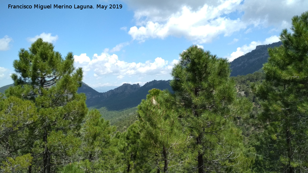 Cerro de la Laguna - Cerro de la Laguna. Vistas hacia la Piedra del Agujero