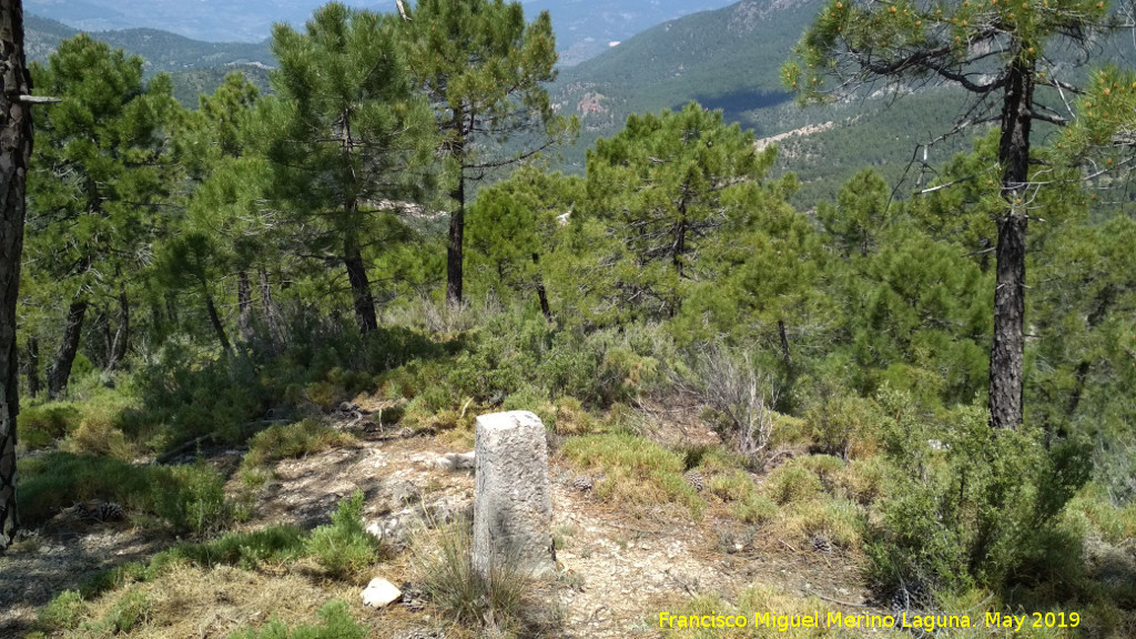 Cerro de la Laguna - Cerro de la Laguna. Mojn