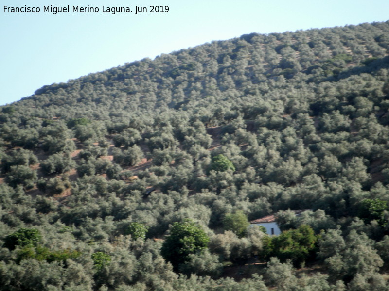 Cortijo de Vertederas - Cortijo de Vertederas. Situacin