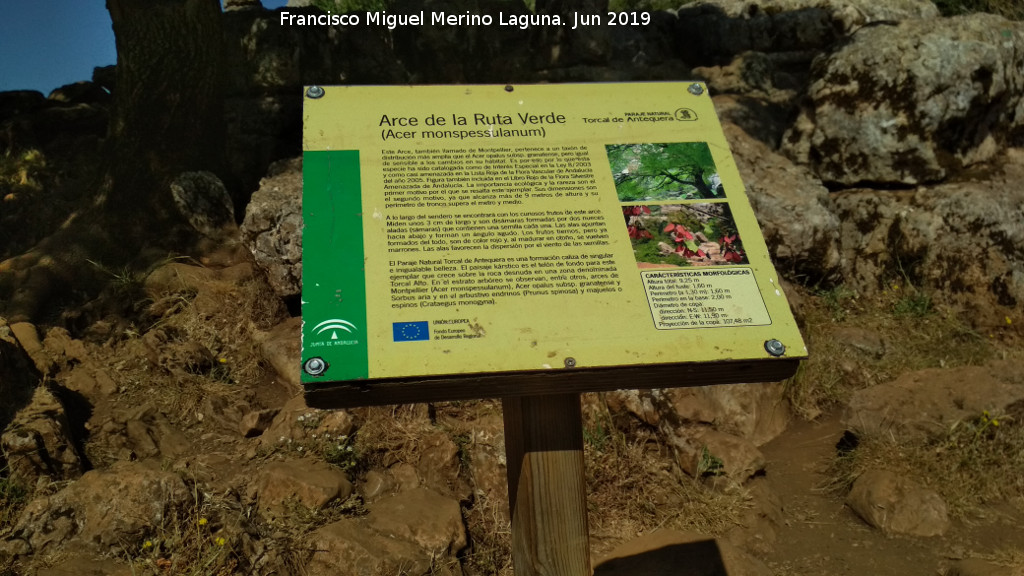 Torcal de Antequera. Arce de Montpelier - Torcal de Antequera. Arce de Montpelier. Cartel