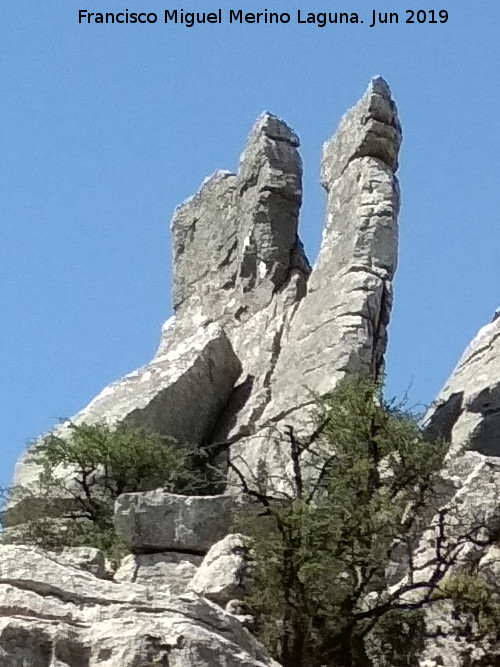 Torcal de Antequera. El Camello - Torcal de Antequera. El Camello. 